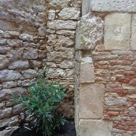 Le Qui Dort